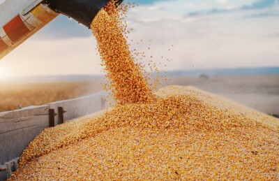 Єврокомісія вимагає від Польщі скасувати ембарго на зерно з України