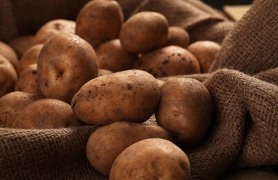 В Україні знову дешевшає картопля: за якою ціною надходить у продаж