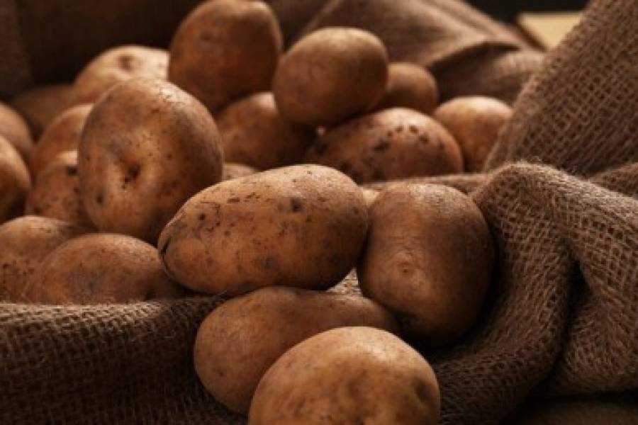 В Україні знову дешевшає картопля: за якою ціною надходить у продаж