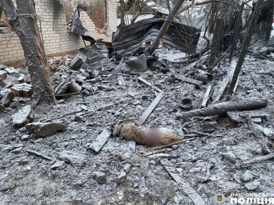 Наслідки ракетної атаки РФ на Чернігів: уламками пошкоджено будинки