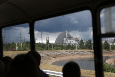 В Чорнобилі вчені знайшли істот, які не постраждали від ядерної катастрофи: в чому причина