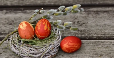 Як перевірити, свіже яйце чи ні: корисні поради, аби уникнути неприємних сюрпризів