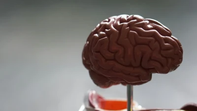 У Китаї вчені створили крихітний датчик для вживлення в мозок
