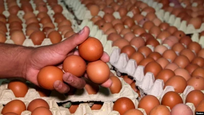 ЄC повернув мита на яйця і цукор з України через перевищення квот