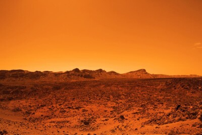Учені виявили рослину, здатну вижити на Марсі, - The Guardian