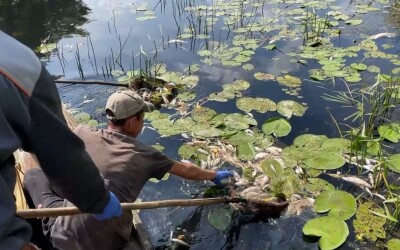 Київ має аварійні джерела забезпечення водою, створені після Чорнобильської катастрофи. Але їхня доля зараз невідома