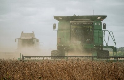 Рекордна врожайність: в Україні підвищили прогноз збору зернових та олійних культур