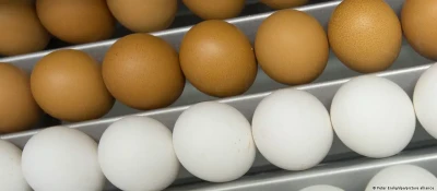 Єврокомісія відновлює мито на українські яйця