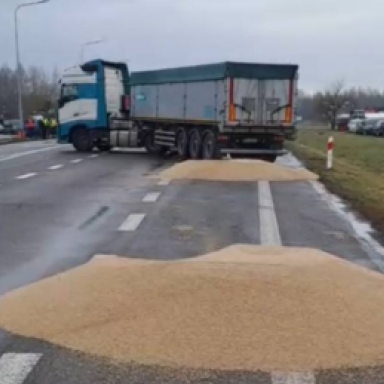 Мінагрополітики зробило заяву щодо знищення українського зерна на кордоні з Польщею