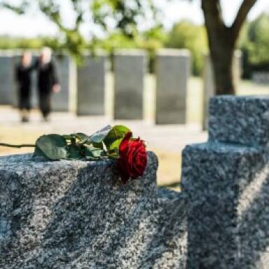 Уряд виділив 515 млн грн на створення Національного військово-меморіального кладовища