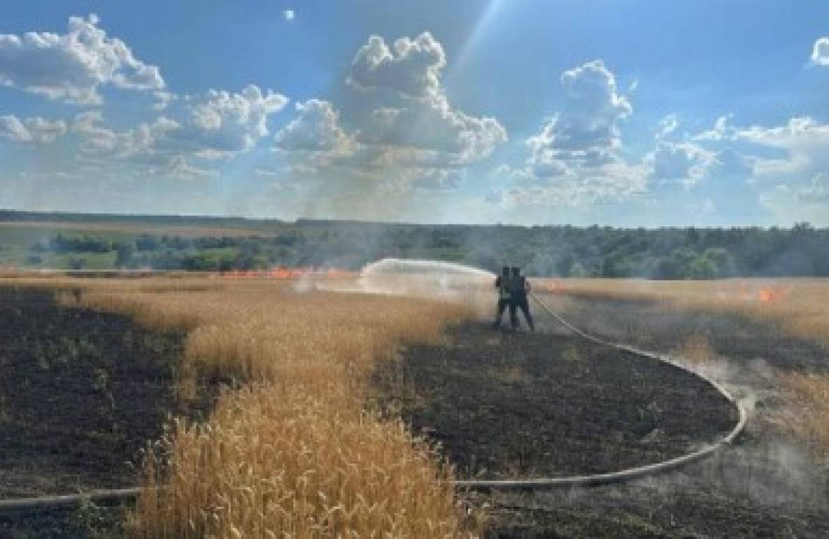 На Харківщині внаслідок обстрілів постраждало 4 цивільних, окупанти намагалися спалити урожай пшениці